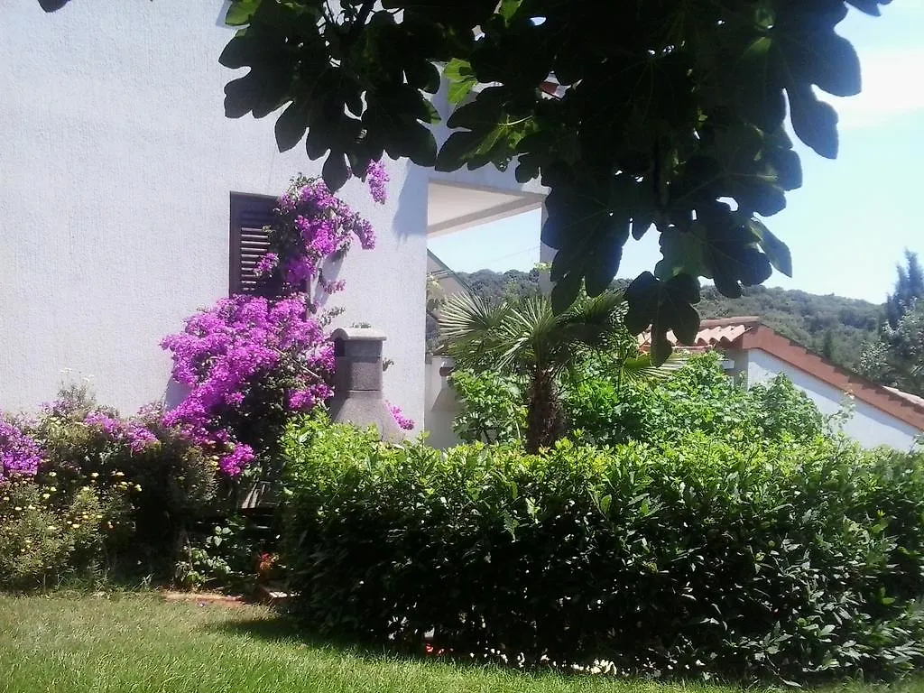 Apartment Iva Pula 0*,  Хорватия